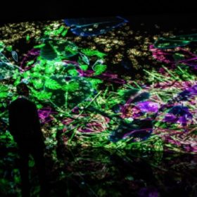 miguel chevalier page presentation artiste espace art comoedia numerique brest finistere bretagne