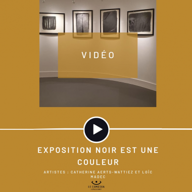 Vidéo : les artistes Catherine Aerts-Wattiez et Loïc Madec au Comoedia Espace d’Art