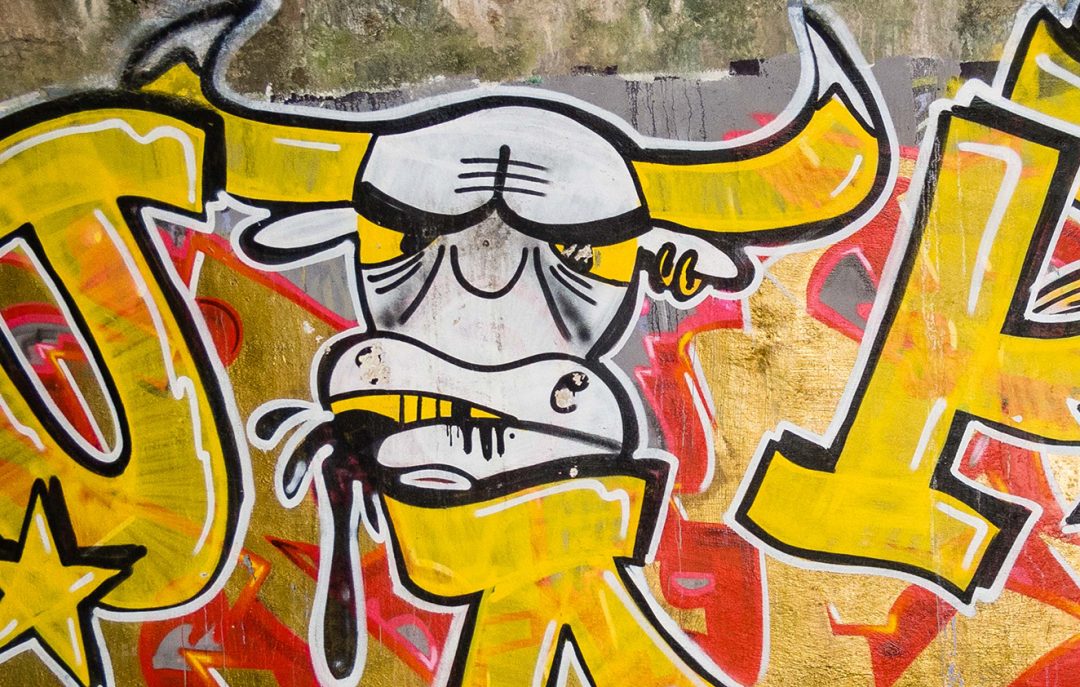 Photographie street art buffle graffiti finistère de JPH