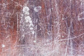 Photographie de JPH galerie art le Comodedia exposition art urbain galerie exposition vente contemporain finistere bretagne culture tourisme