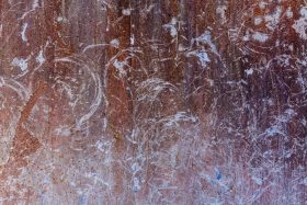 Photographie de JPH galerie art le Comoedia street art galerie exposition vente contemporain finistere bretagne culture tourisme
