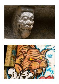 Photographie felin de JPH exposition street art galerie art le Comoedia sculpture et graffiti