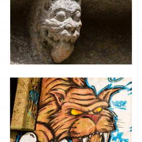 Photographie felin de JPH exposition street art galerie art le Comoedia sculpture et graffiti