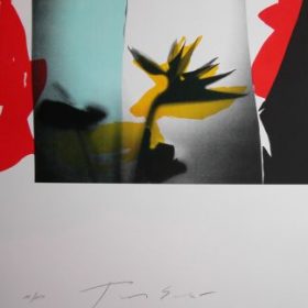 Lithographie Tony Soulié ombre fleur jaune bleu et rouge