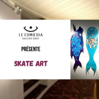 Vidéo : Le Skate Art