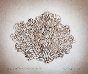 Algo 49
