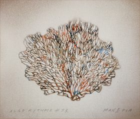 Algo 53