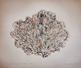 Algo 56