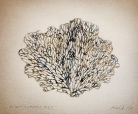 Algo 59