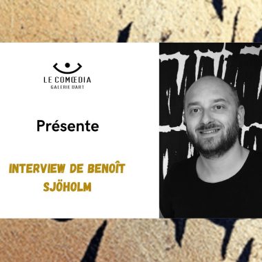 Interview artiste – Benoît Sjöholm