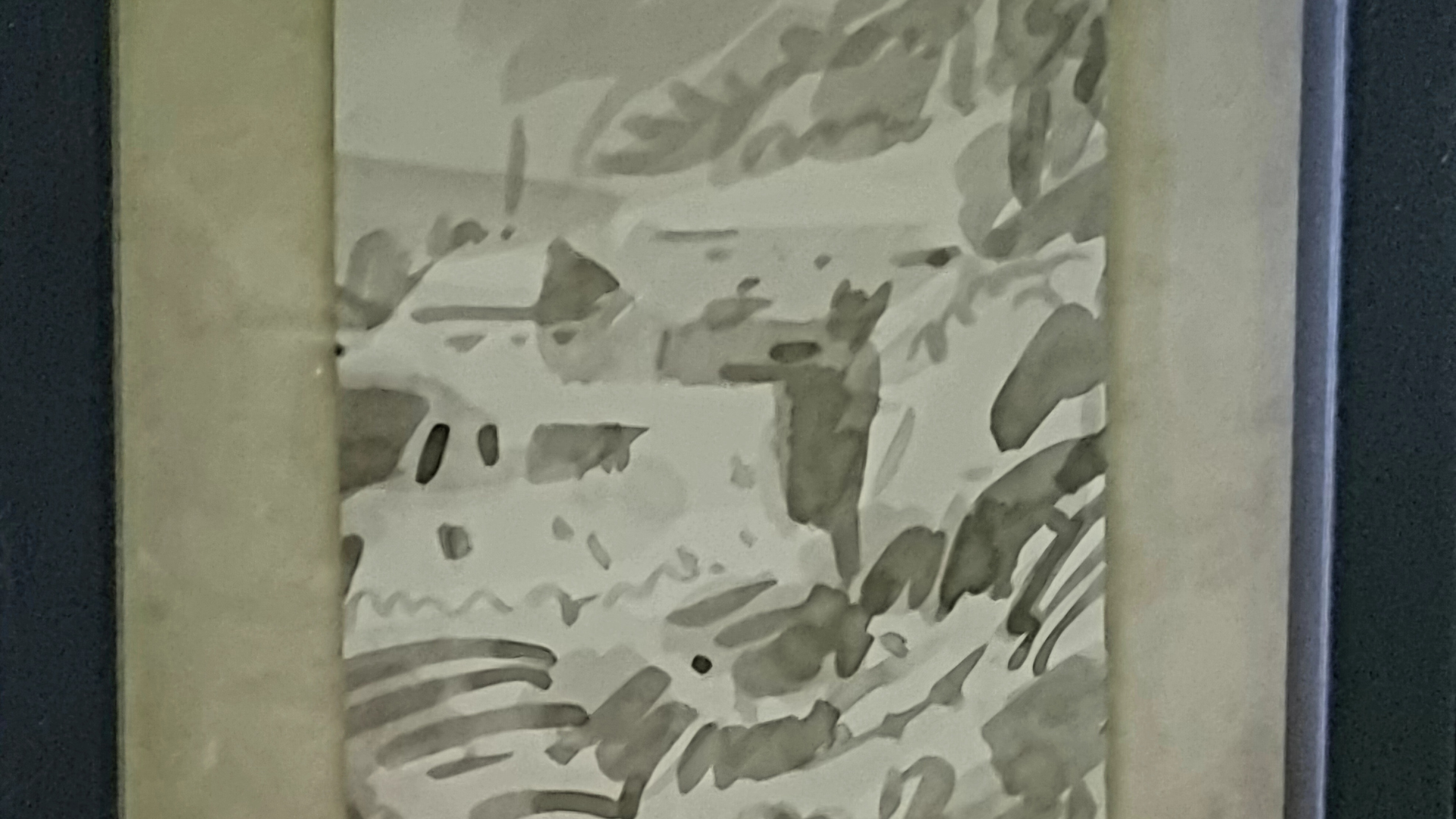 Anguilla n°1