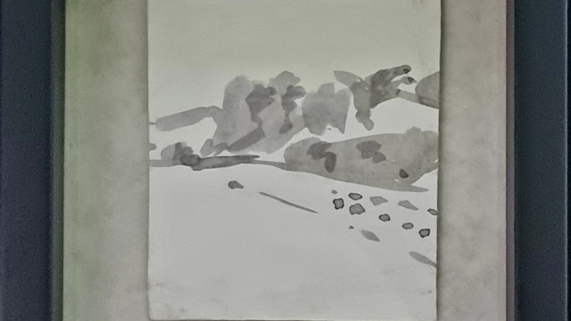Anguilla n°2