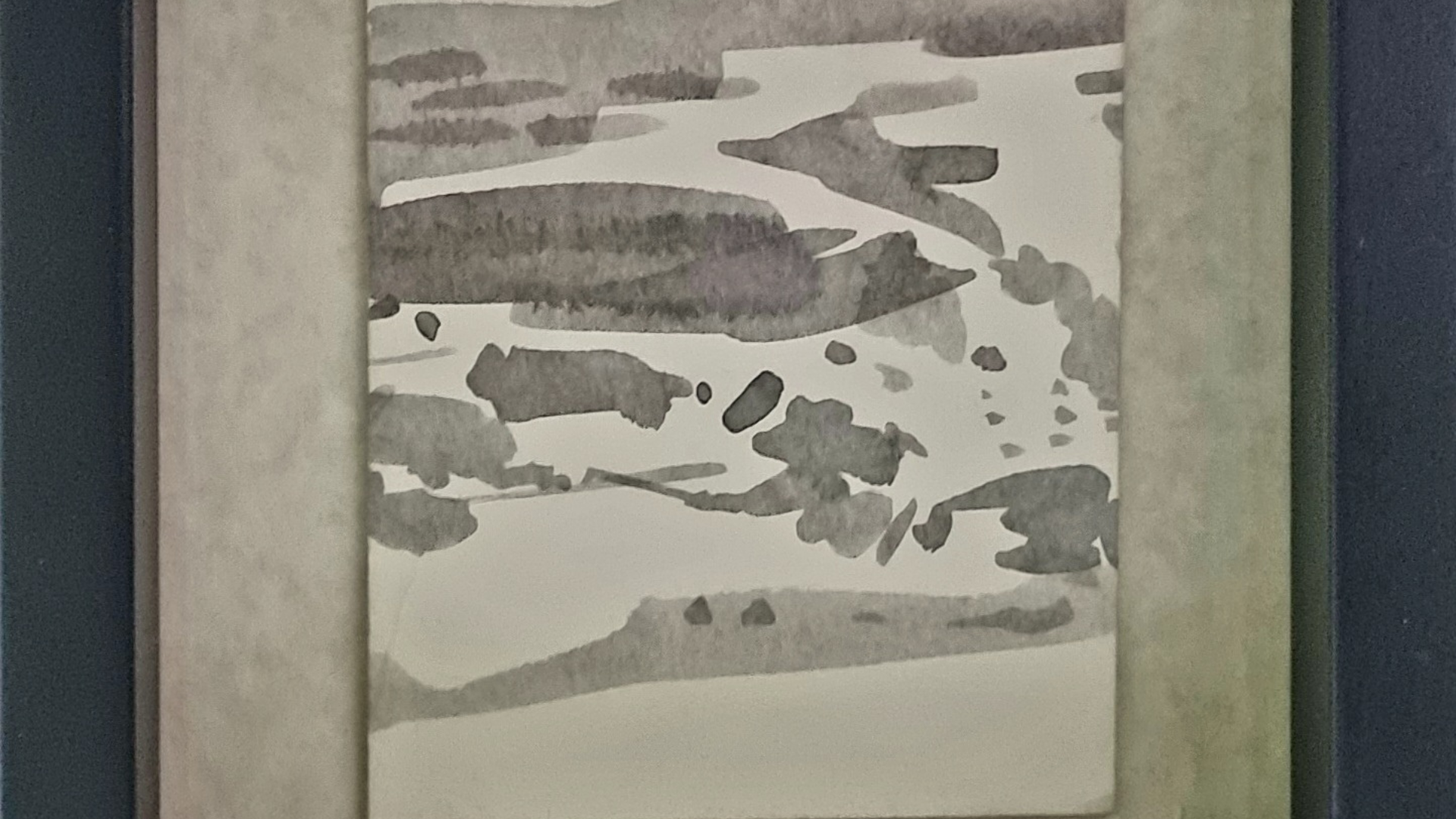 Anguilla n°7