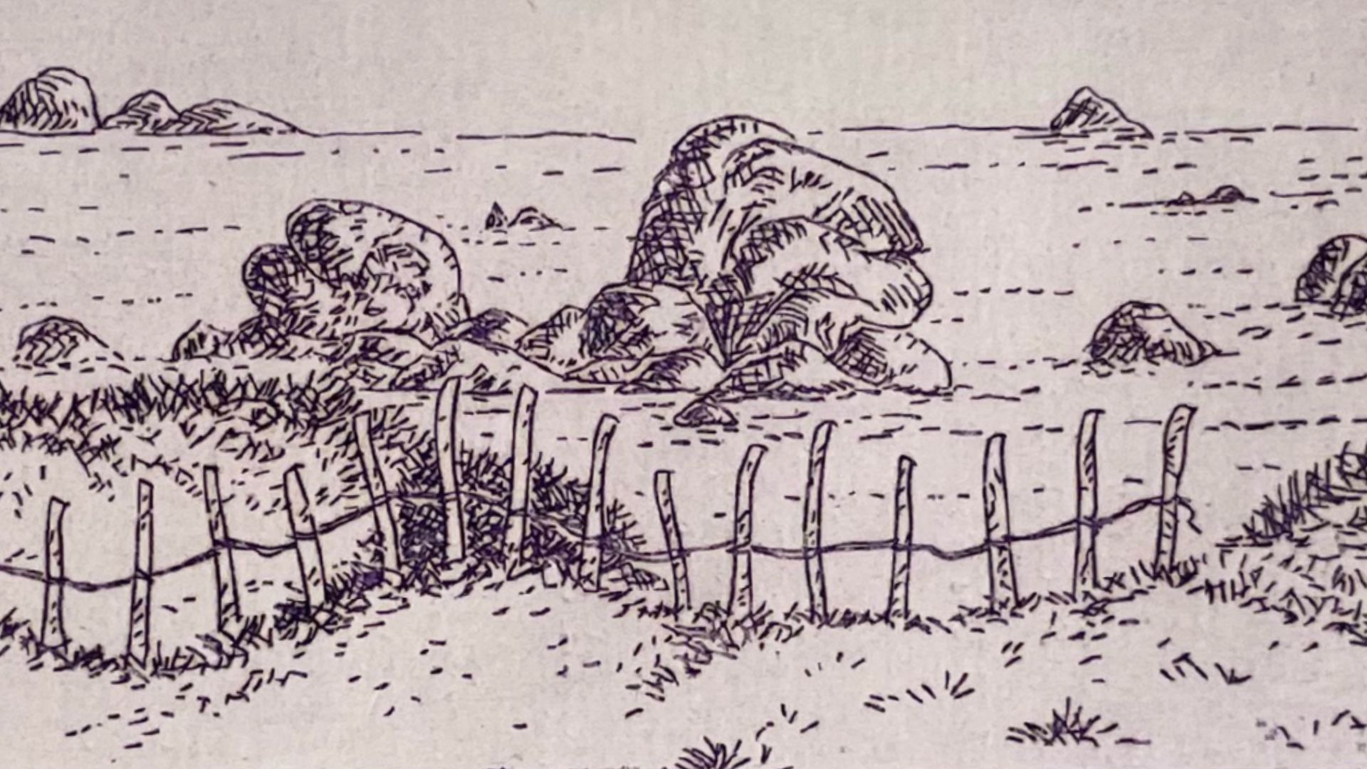 paysage avec ganivelles