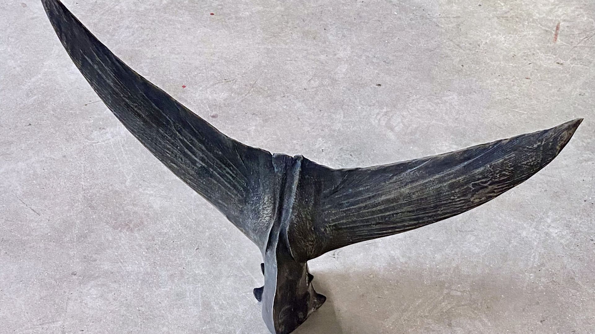 sculpture d'une queue de thon