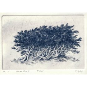 gravure d'arbustes