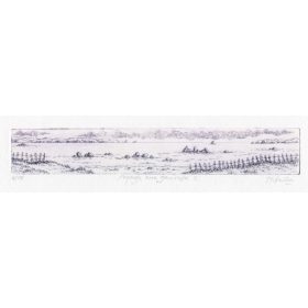 paysage avec ganivelles