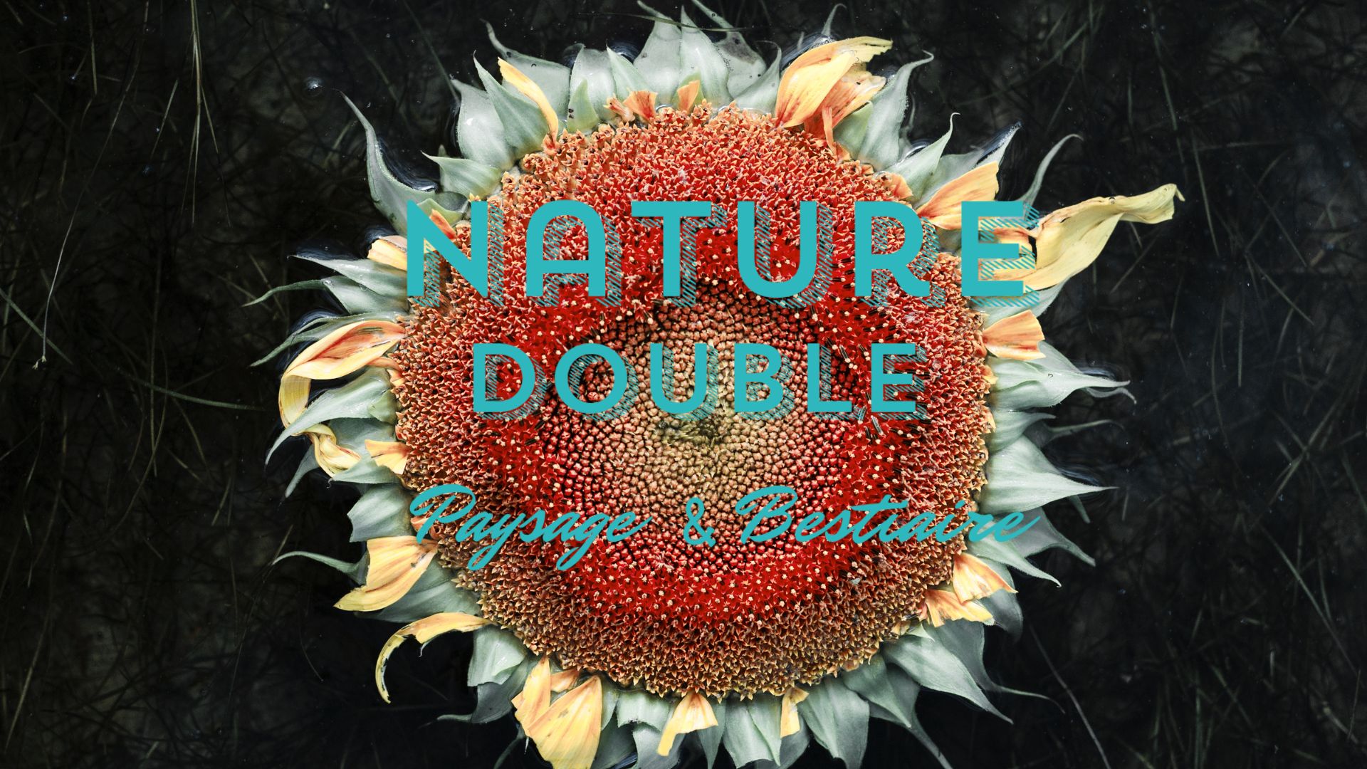 tournesol avec le logo Nature Double