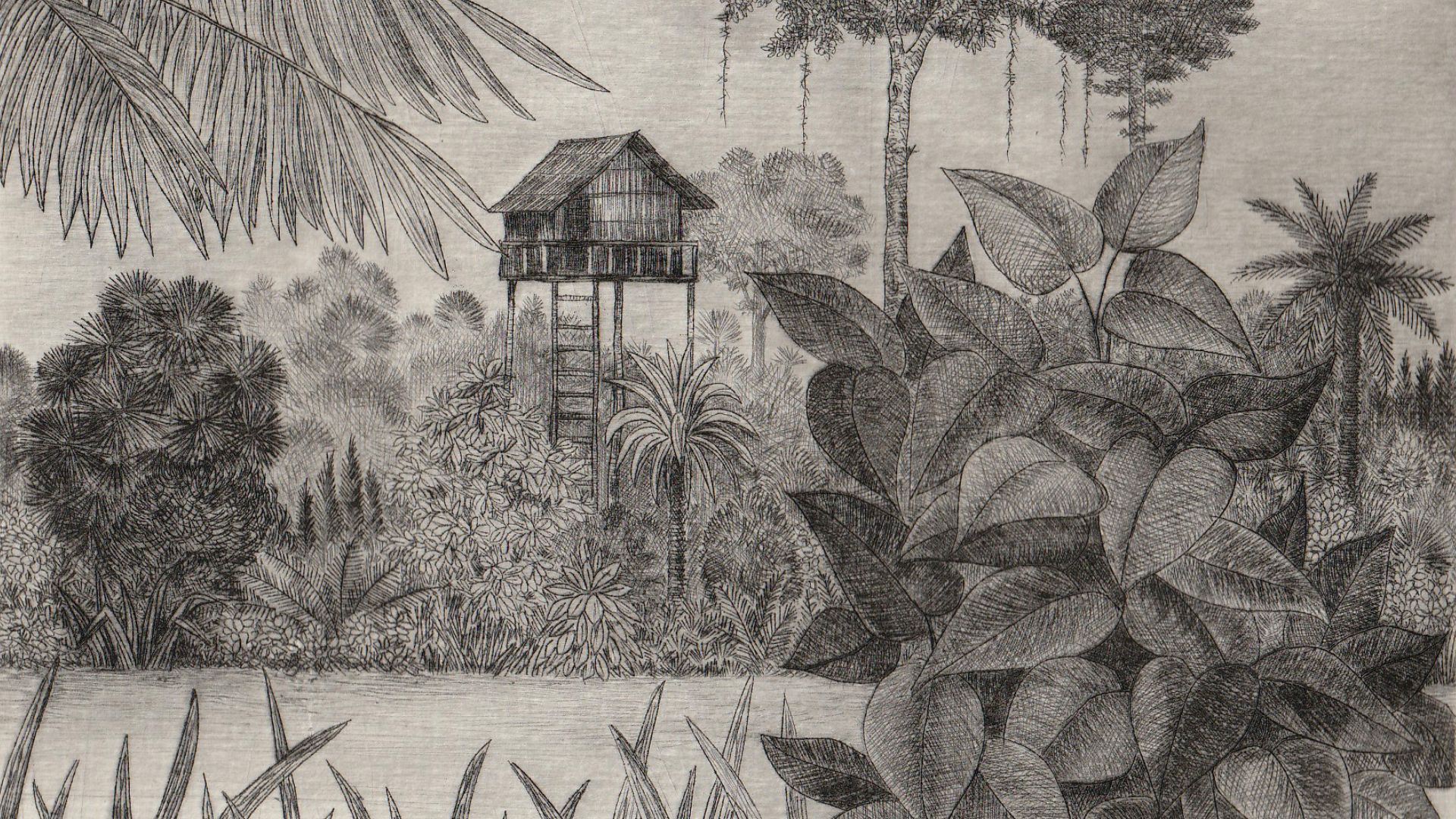 Gravure d'une maison en pleine jungle