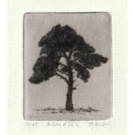 Gravure d'un arbre