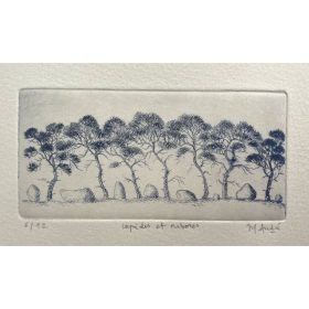 arbres et pierres en gravure