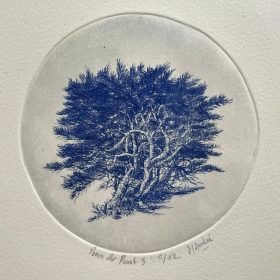 arbre en gravure