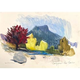 Paysage rocheux avec arbre rouge