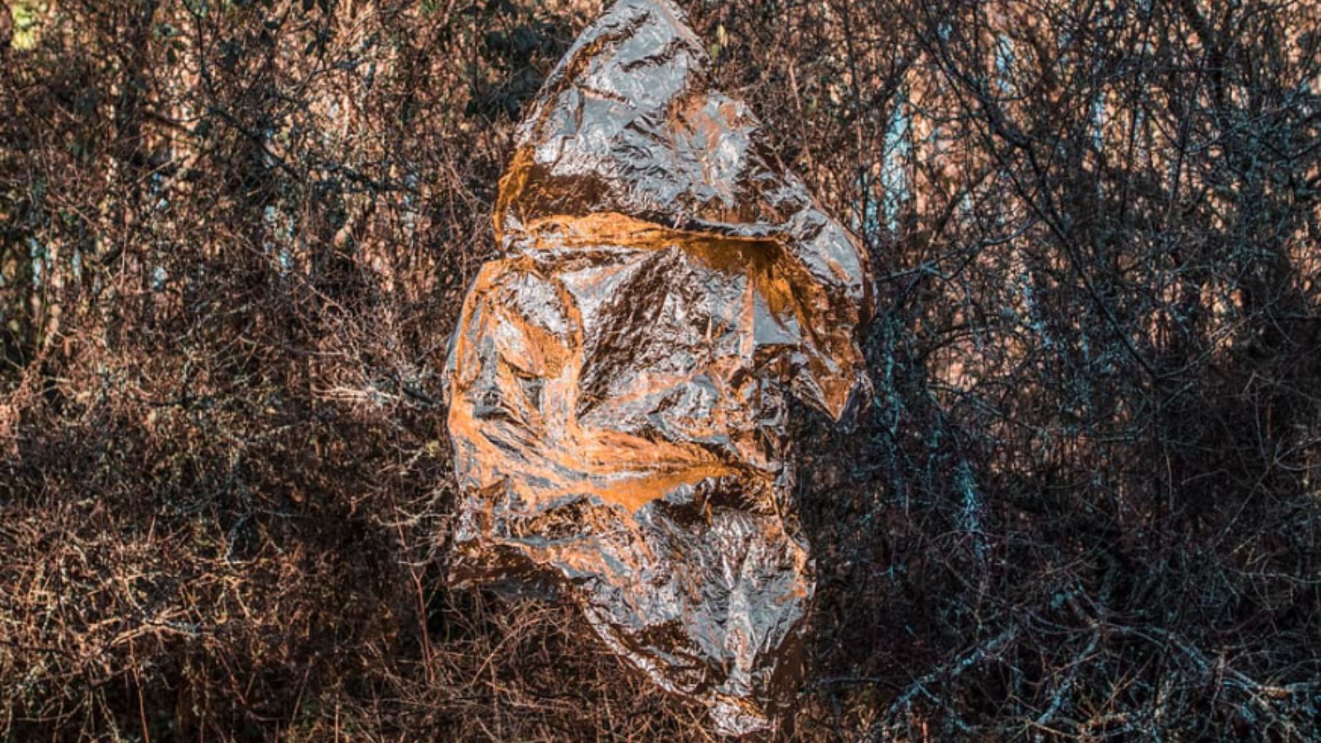 papier aluminium placé parmi les arbres