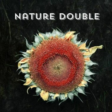 Vidéo de l&rsquo;expo-vente « Nature Double »