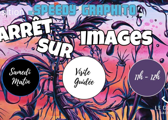 Speedy Graphito exposition Arrêt sur images, visites guidées
