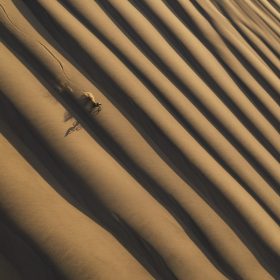 La dune